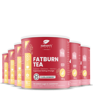 FatBurn Tea 6x bundle