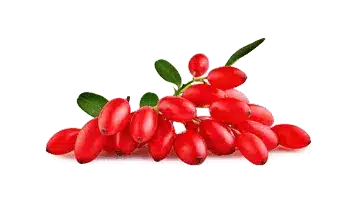 Rebersa ® (Berberine extract)