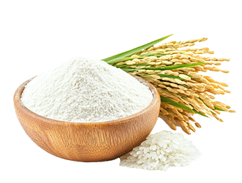 Rice flour (Oryza sativa)