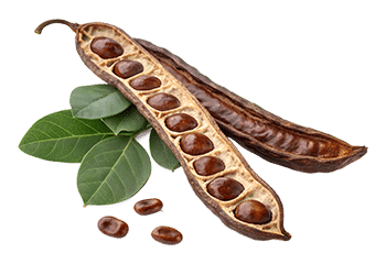 Carob extract