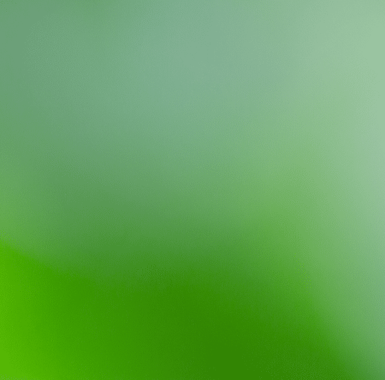 offer-hp-2.png