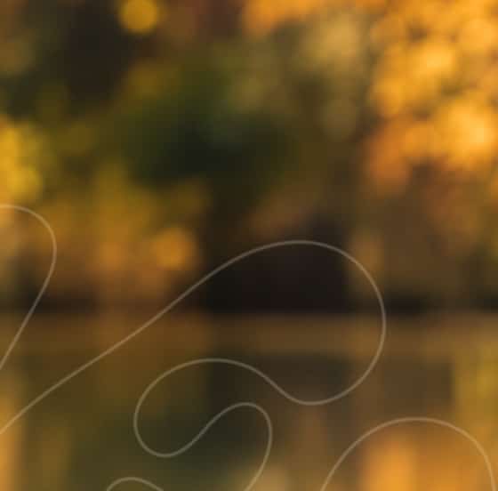 Autumn-must-haves-offer-hp-3-1.jpg
